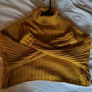 Plus size crop turtle neck